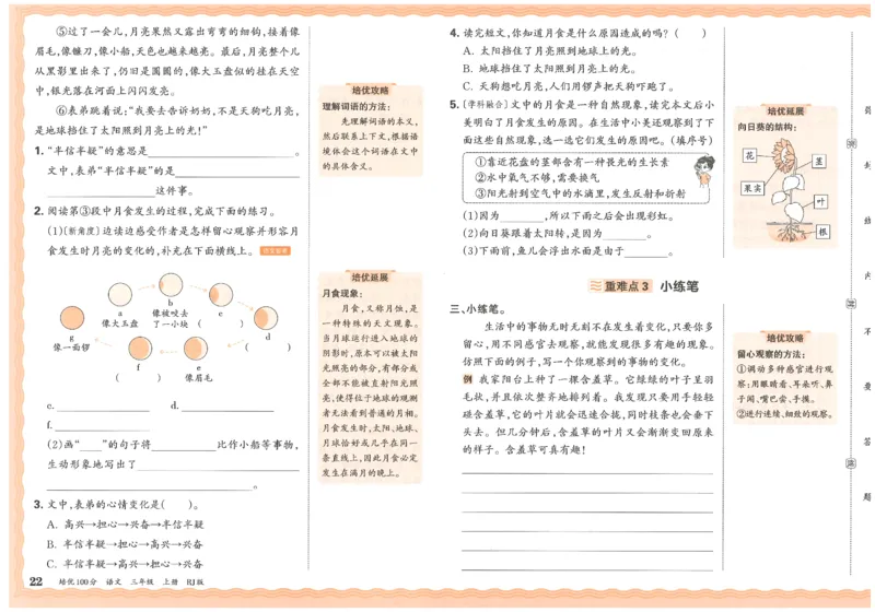 25秋王朝霞：培优100分 3语上