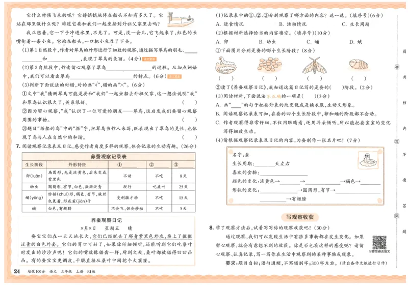 25秋王朝霞：培优100分 3语上