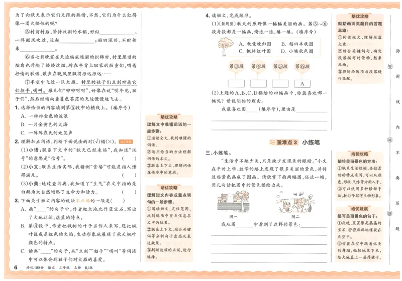 25秋王朝霞：培优100分 3语上