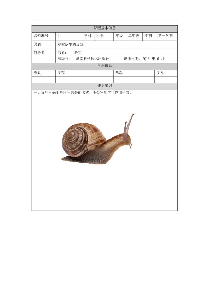 0925二年级科学(湘科版)观察蜗牛的反应-4练习题_二年级上下册资料_小学二年级学习资料-25年更新版_2-09、小学二年级科学上册_湘科版_练习题