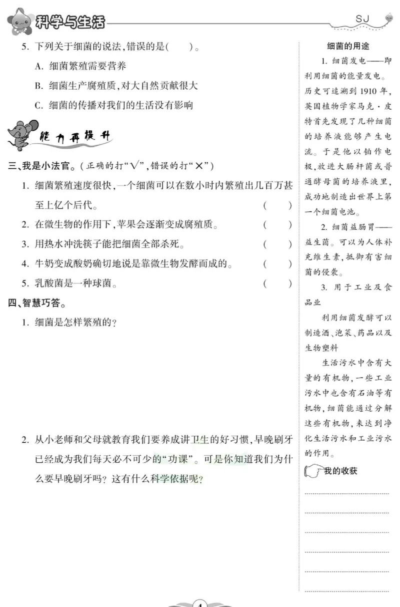 科学六年级上册苏教版_2024年人教版小学数学一二三四五六年级上册下册期中期末试a0747_小学全科《同步练习+精品试卷》打包下载（1-6年级单元月考期中期末试卷）_小学科学