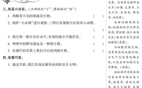 科学六年级上册苏教版_2024年人教版小学数学一二三四五六年级上册下册期中期末试a0747_小学全科《同步练习+精品试卷》打包下载（1-6年级单元月考期中期末试卷）_小学科学