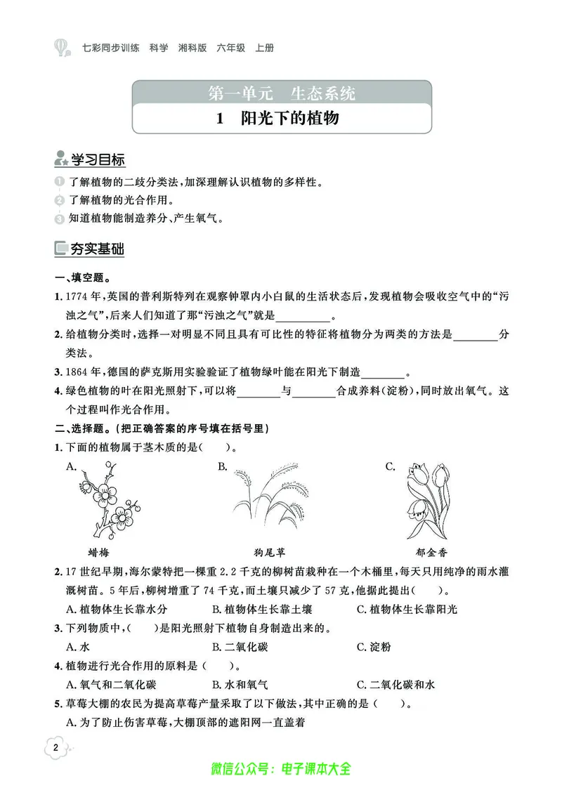 湘科版6a_2024年人教版小学数学一二三四五六年级上册下册期中期末试a0747_小学全科《同步练习+精品试卷》打包下载（1-6年级单元月考期中期末试卷）_小学科学_《七彩同步训练》