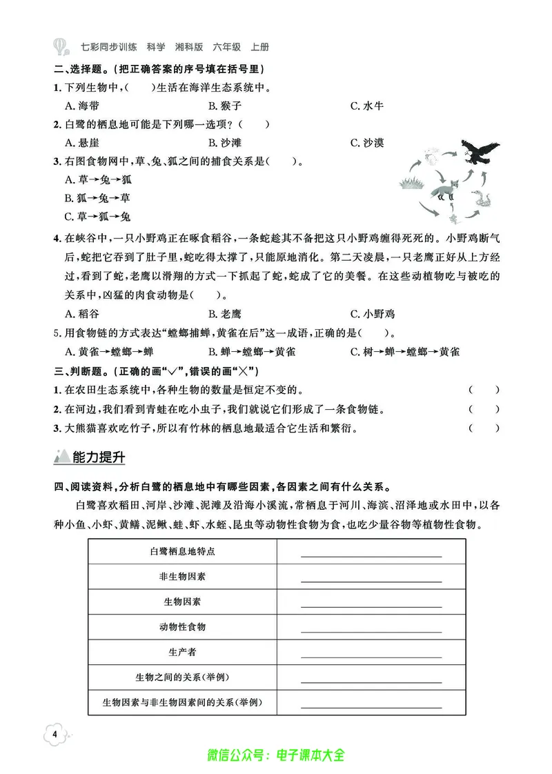 湘科版6a_2024年人教版小学数学一二三四五六年级上册下册期中期末试a0747_小学全科《同步练习+精品试卷》打包下载（1-6年级单元月考期中期末试卷）_小学科学_《七彩同步训练》