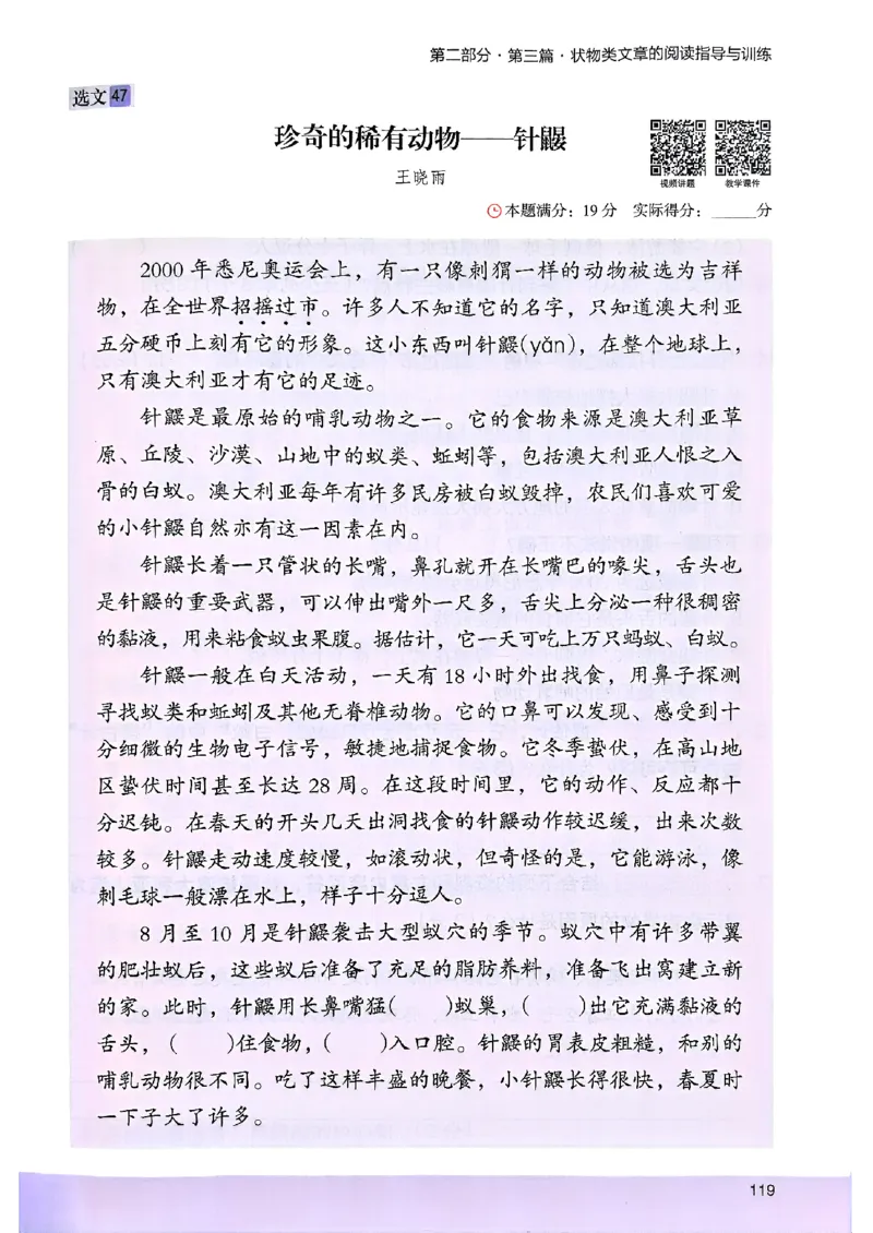 2026版四年级木头马高效训练88篇-副本_26版高效阅读88篇四年级