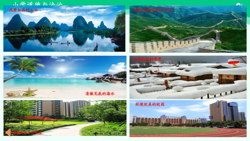 14我的环保小搭档_课件_二年级上下册资料_小学二年级学习资料-25年更新版_2-08、小学二年级道德与法治下册_课时练与课件