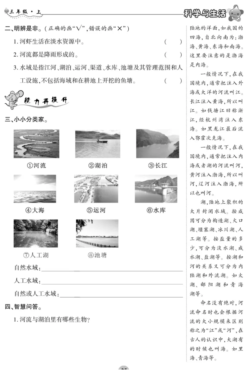 科学三年级上册苏教版_2024年人教版小学数学一二三四五六年级上册下册期中期末试a0747_小学全科《同步练习+精品试卷》打包下载（1-6年级单元月考期中期末试卷）_小学科学