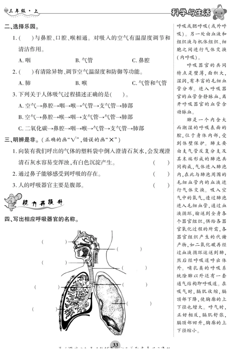 科学三年级上册苏教版_2024年人教版小学数学一二三四五六年级上册下册期中期末试a0747_小学全科《同步练习+精品试卷》打包下载（1-6年级单元月考期中期末试卷）_小学科学