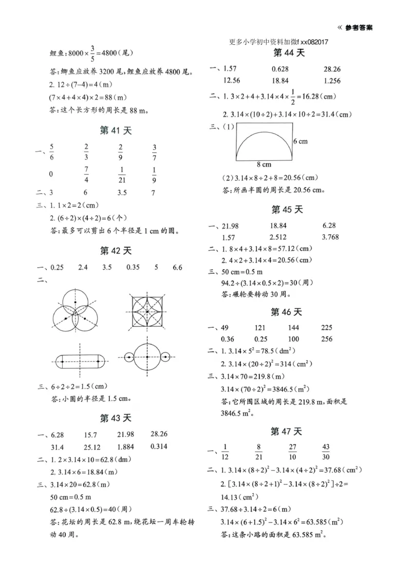 25秋六年级上册人教版数学《每日一练小纸条》带答案_六上数学25秋