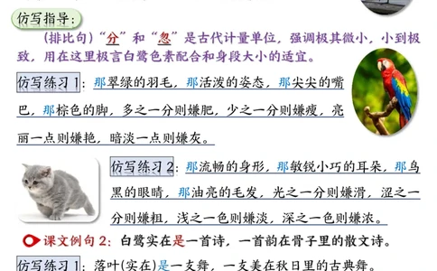 2_五年级（上）语文重点仿写句子汇总_小学全网线上同款资料_k92_语文