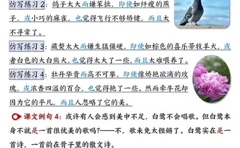 2_五年级（上）语文重点仿写句子汇总_小学全网线上同款资料_k92_语文