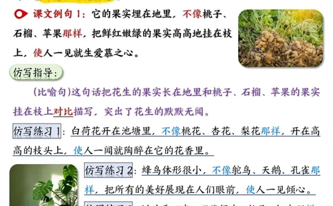 2_五年级（上）语文重点仿写句子汇总_小学全网线上同款资料_k92_语文