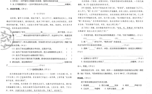 三上语文期末冲刺卷（24秋）_2024年人教版小学数学一二三四五六年级上册下册期中期末试a0747_小学全科《同步练习+精品试卷》打包下载（1-6年级单元月考期中期末试卷）_期末总复习