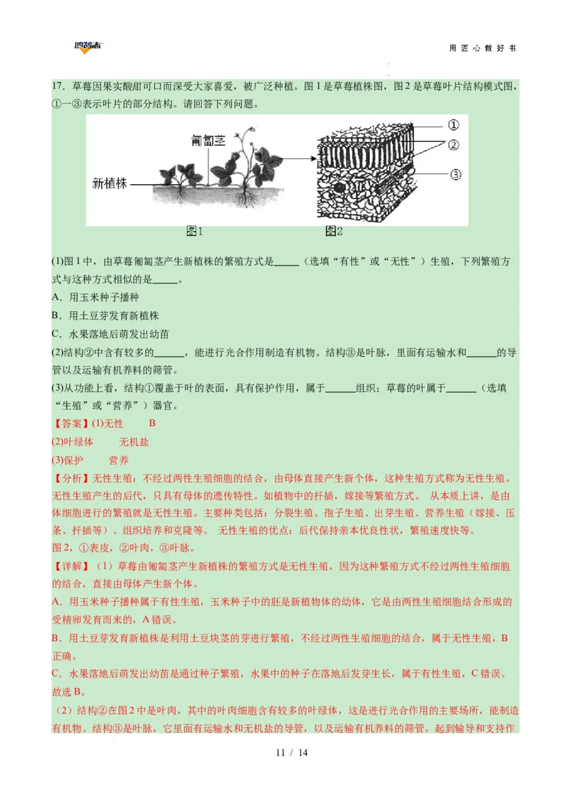 生物（陕西卷）（全解全析）_2025年初中《中考第一次模拟》全国各地区模拟卷（8科全）(1)_2025年《中考第一次模拟卷》初中生物_陕西&radic;