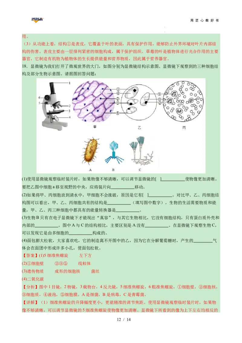 生物（陕西卷）（全解全析）_2025年初中《中考第一次模拟》全国各地区模拟卷（8科全）(1)_2025年《中考第一次模拟卷》初中生物_陕西&radic;