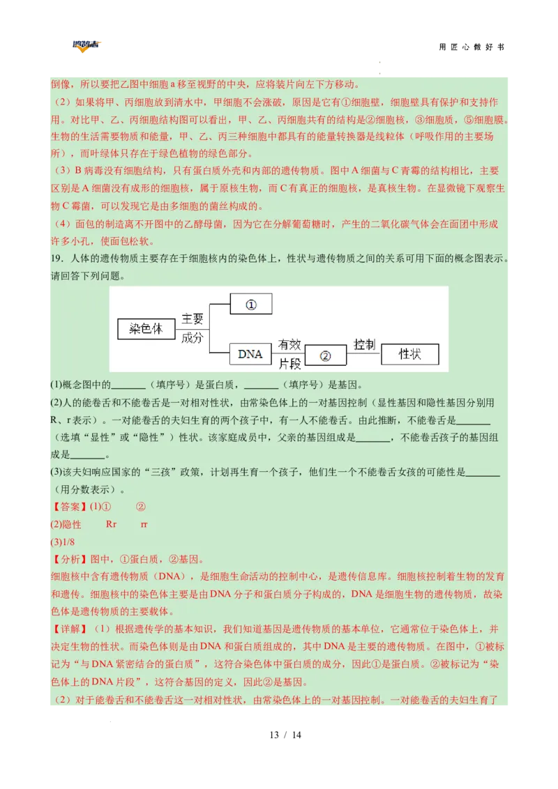 生物（陕西卷）（全解全析）_2025年初中《中考第一次模拟》全国各地区模拟卷（8科全）(1)_2025年《中考第一次模拟卷》初中生物_陕西&radic;