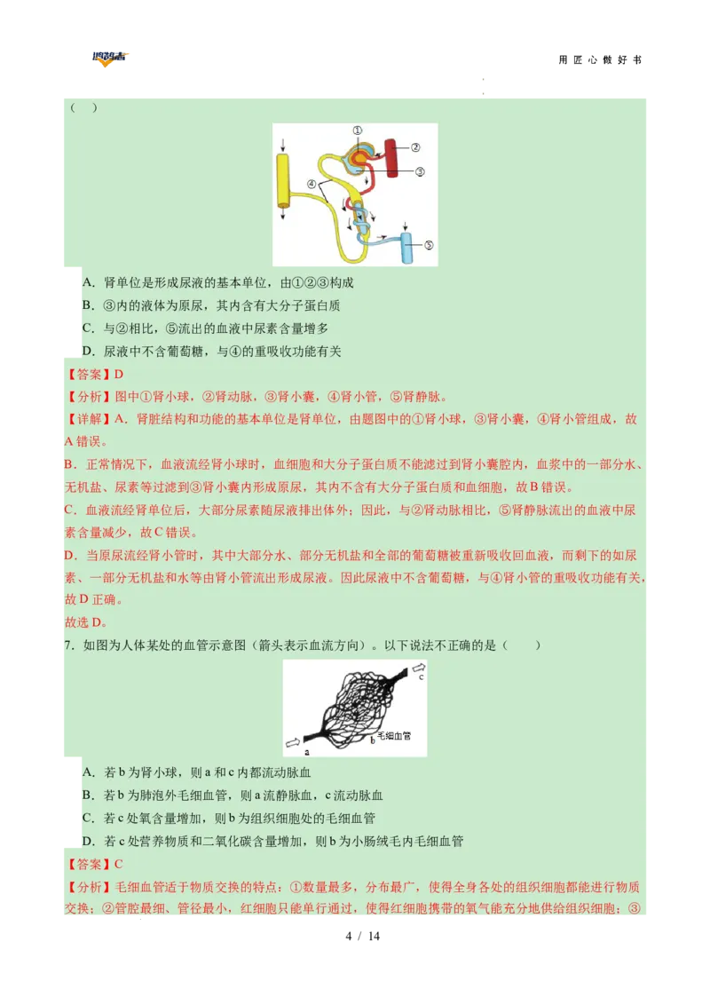 生物（陕西卷）（全解全析）_2025年初中《中考第一次模拟》全国各地区模拟卷（8科全）(1)_2025年《中考第一次模拟卷》初中生物_陕西&radic;