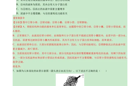 生物（陕西卷）（全解全析）_2025年初中《中考第一次模拟》全国各地区模拟卷（8科全）(1)_2025年《中考第一次模拟卷》初中生物_陕西&radic;
