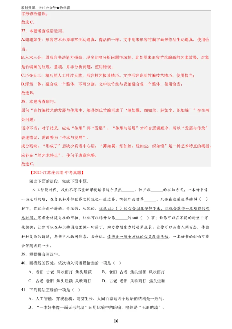 专题06基础知识综合(解析版)_2023-2025《3年中考1年模拟真题分类汇编》语文