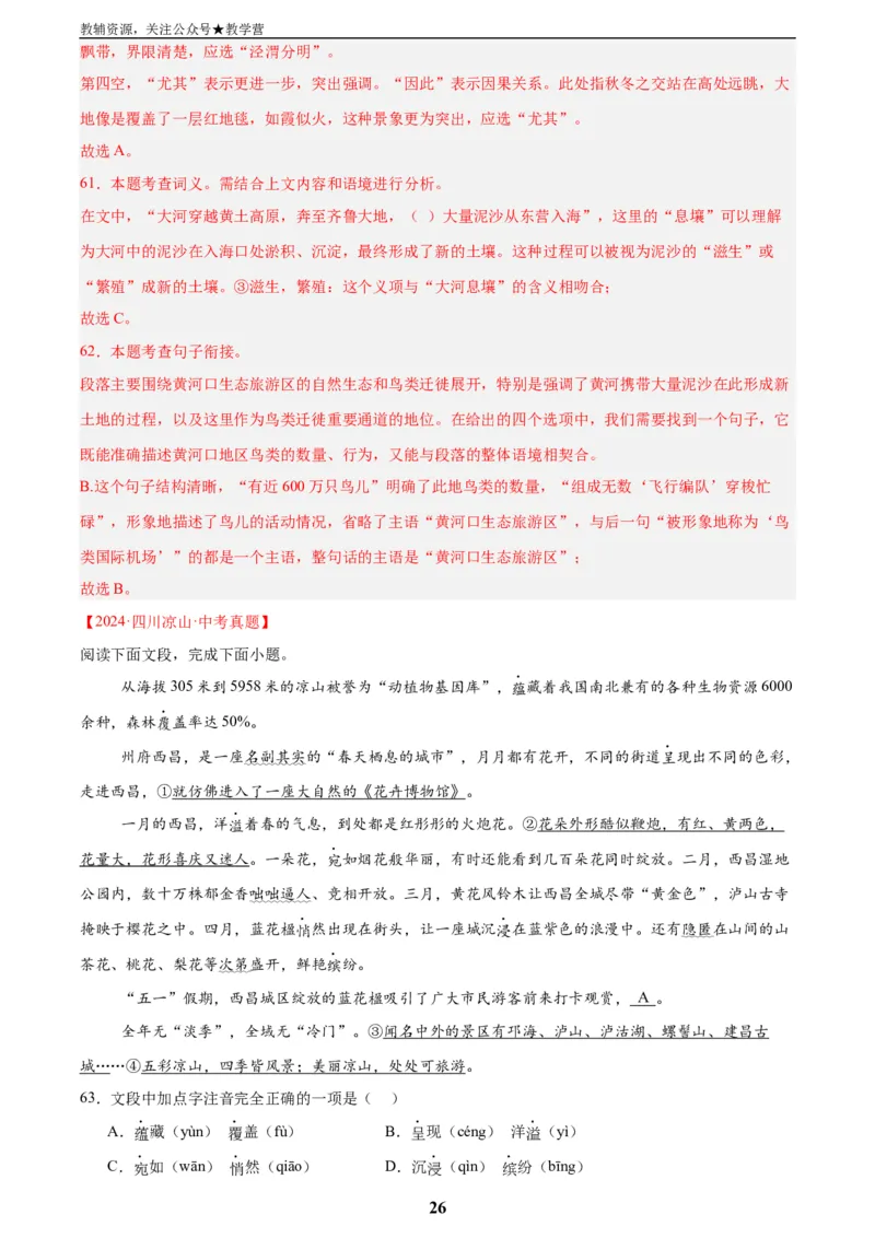 专题06基础知识综合(解析版)_2023-2025《3年中考1年模拟真题分类汇编》语文