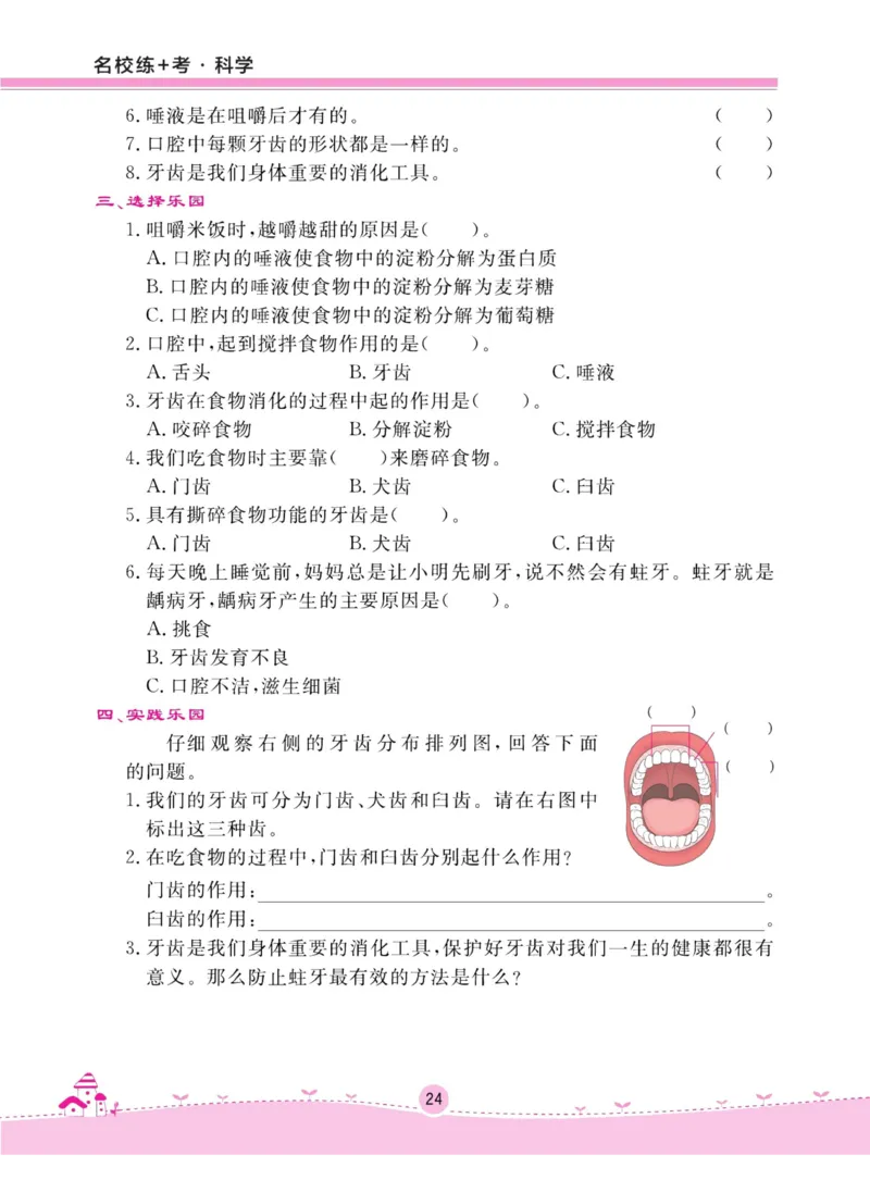 名校练加考科学教科版4年级上册_2024年人教版小学数学一二三四五六年级上册下册期中期末试a0747_小学全科《同步练习+精品试卷》打包下载（1-6年级单元月考期中期末试卷）_小学科学