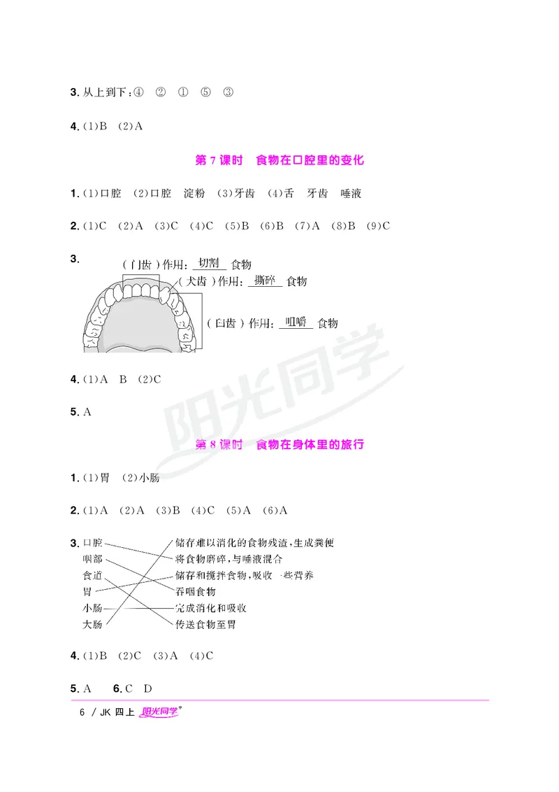 课时科学JK四上_2024年人教版小学数学一二三四五六年级上册下册期中期末试a0747_小学全科《同步练习+精品试卷》打包下载（1-6年级单元月考期中期末试卷）_小学科学