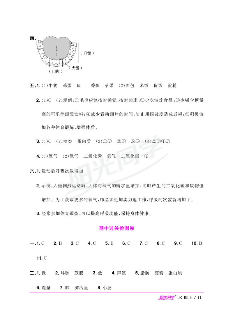 课时科学JK四上_2024年人教版小学数学一二三四五六年级上册下册期中期末试a0747_小学全科《同步练习+精品试卷》打包下载（1-6年级单元月考期中期末试卷）_小学科学