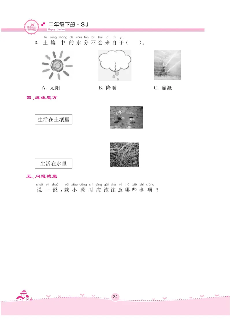 名校练+考二年级下册科学苏教版_2024年人教版小学数学一二三四五六年级上册下册期中期末试a0747_小学全科《同步练习+精品试卷》打包下载（1-6年级单元月考期中期末试卷）_小学科学