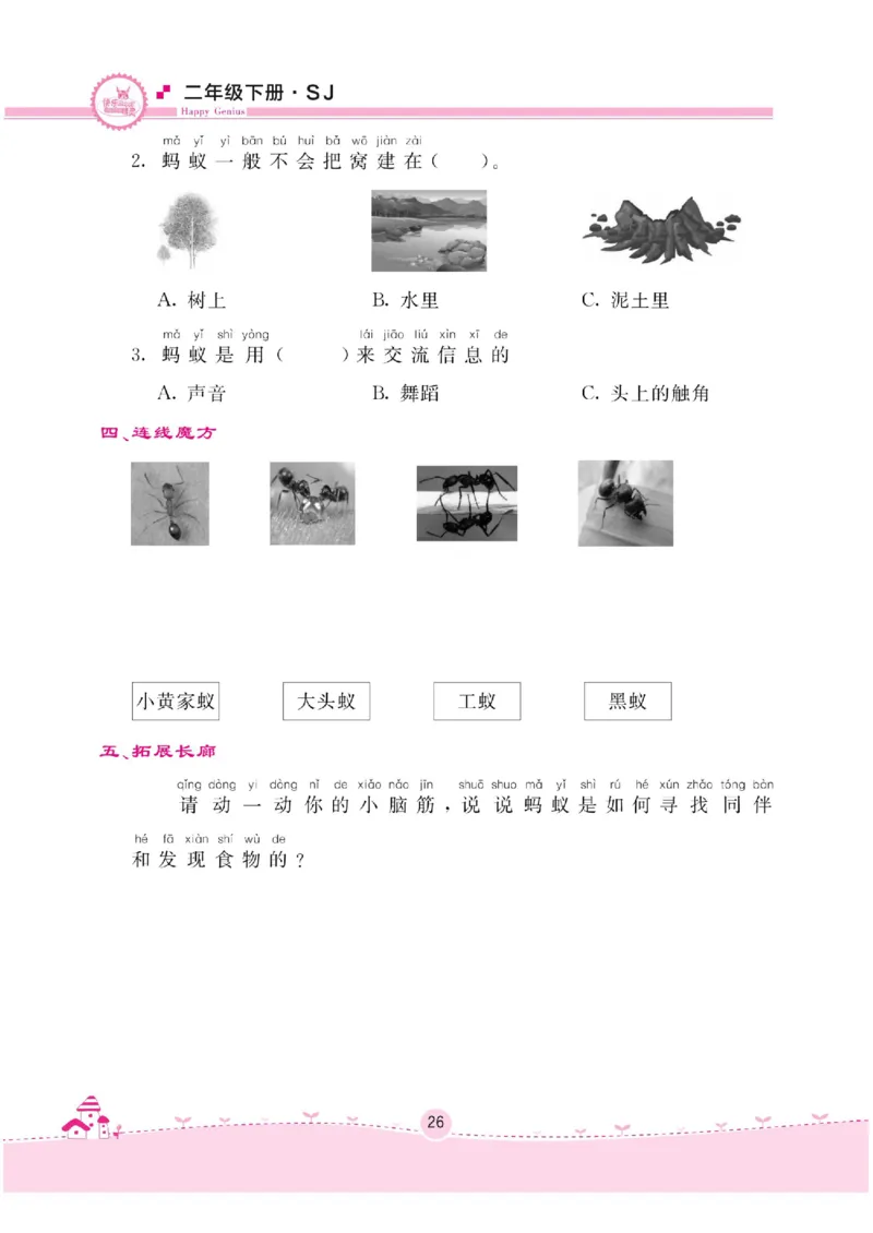 名校练+考二年级下册科学苏教版_2024年人教版小学数学一二三四五六年级上册下册期中期末试a0747_小学全科《同步练习+精品试卷》打包下载（1-6年级单元月考期中期末试卷）_小学科学