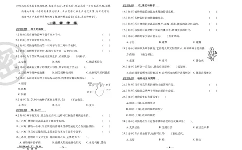 科学教科版试卷4年级下册_2024年人教版小学数学一二三四五六年级上册下册期中期末试a0747_小学全科《同步练习+精品试卷》打包下载（1-6年级单元月考期中期末试卷）_小学科学