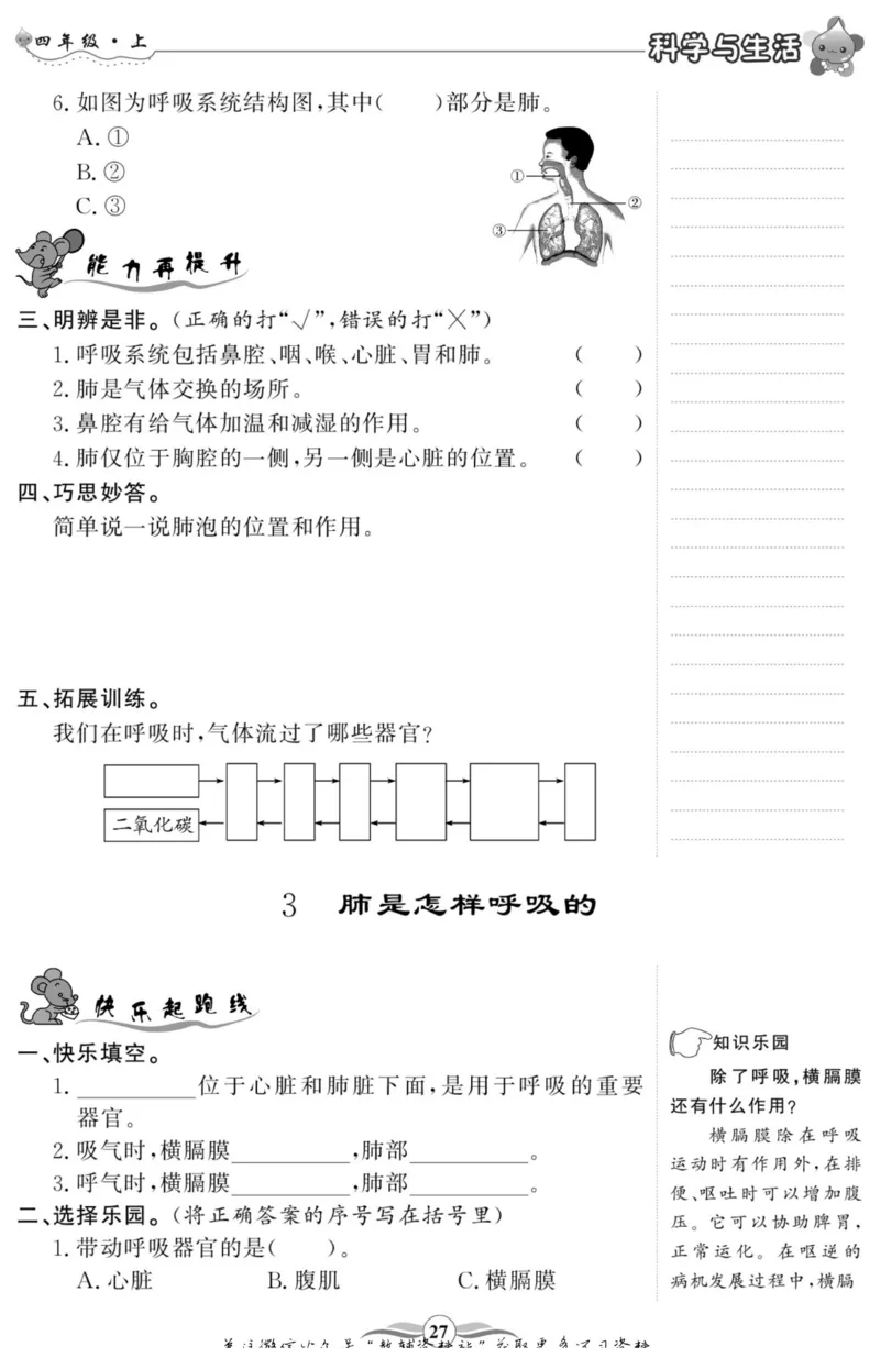 智能训练&middot;科学四年级上册大象版_2024年人教版小学数学一二三四五六年级上册下册期中期末试a0747_小学全科《同步练习+精品试卷》打包下载（1-6年级单元月考期中期末试卷）_小学科学