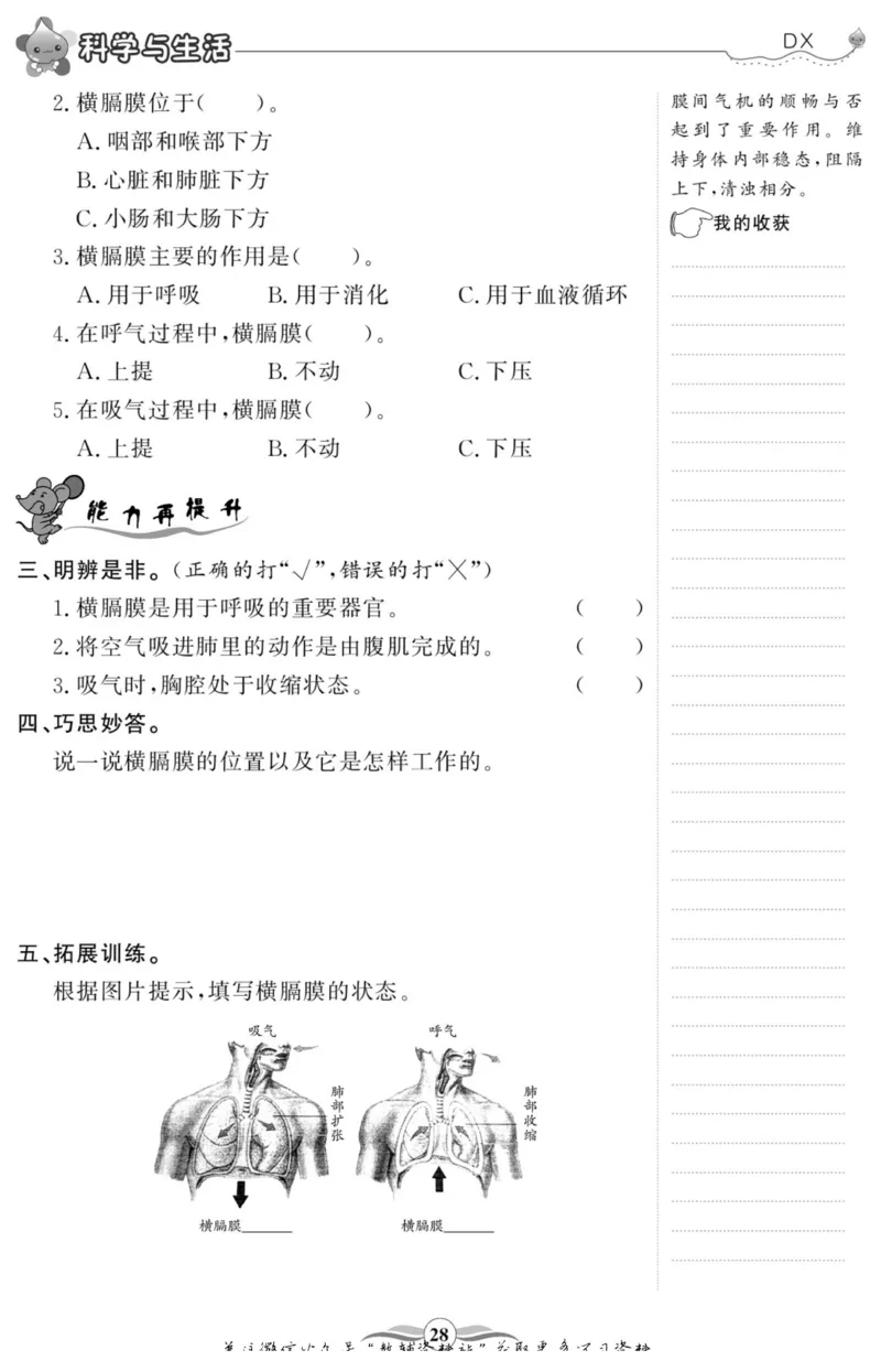 智能训练&middot;科学四年级上册大象版_2024年人教版小学数学一二三四五六年级上册下册期中期末试a0747_小学全科《同步练习+精品试卷》打包下载（1-6年级单元月考期中期末试卷）_小学科学