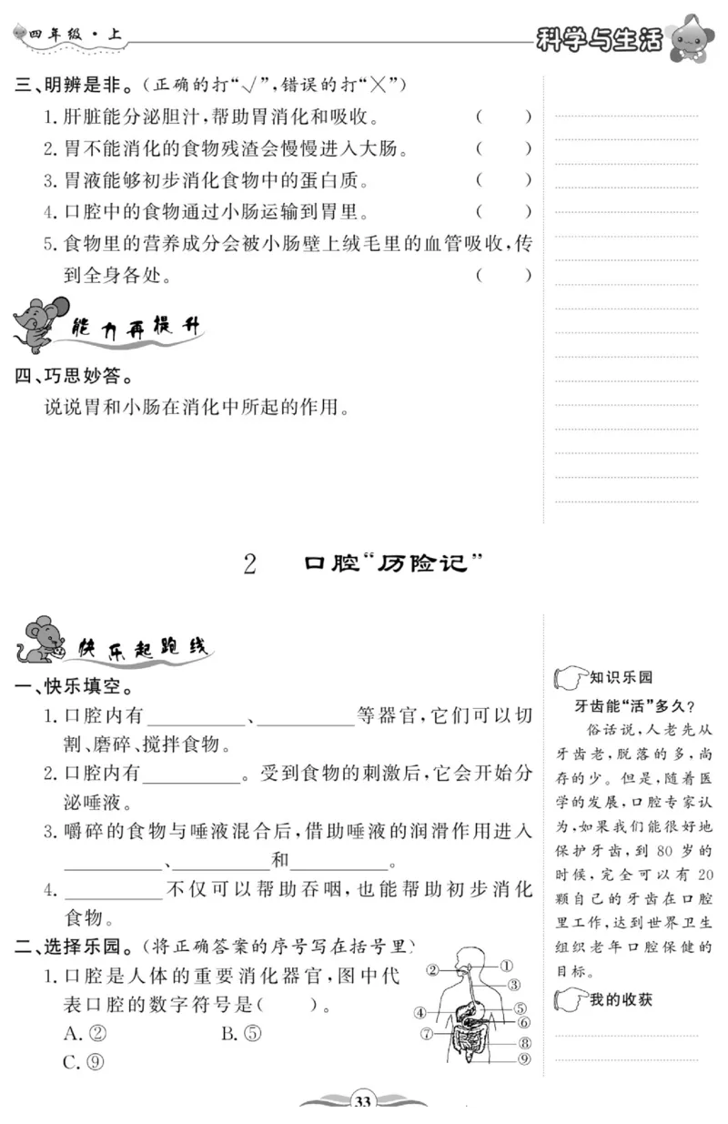 智能训练&middot;科学四年级上册大象版_2024年人教版小学数学一二三四五六年级上册下册期中期末试a0747_小学全科《同步练习+精品试卷》打包下载（1-6年级单元月考期中期末试卷）_小学科学
