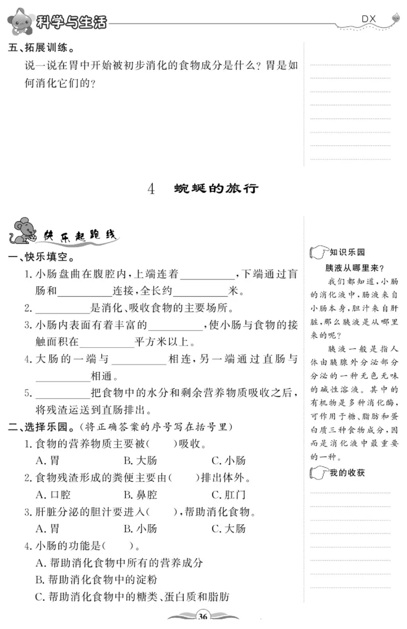 智能训练&middot;科学四年级上册大象版_2024年人教版小学数学一二三四五六年级上册下册期中期末试a0747_小学全科《同步练习+精品试卷》打包下载（1-6年级单元月考期中期末试卷）_小学科学