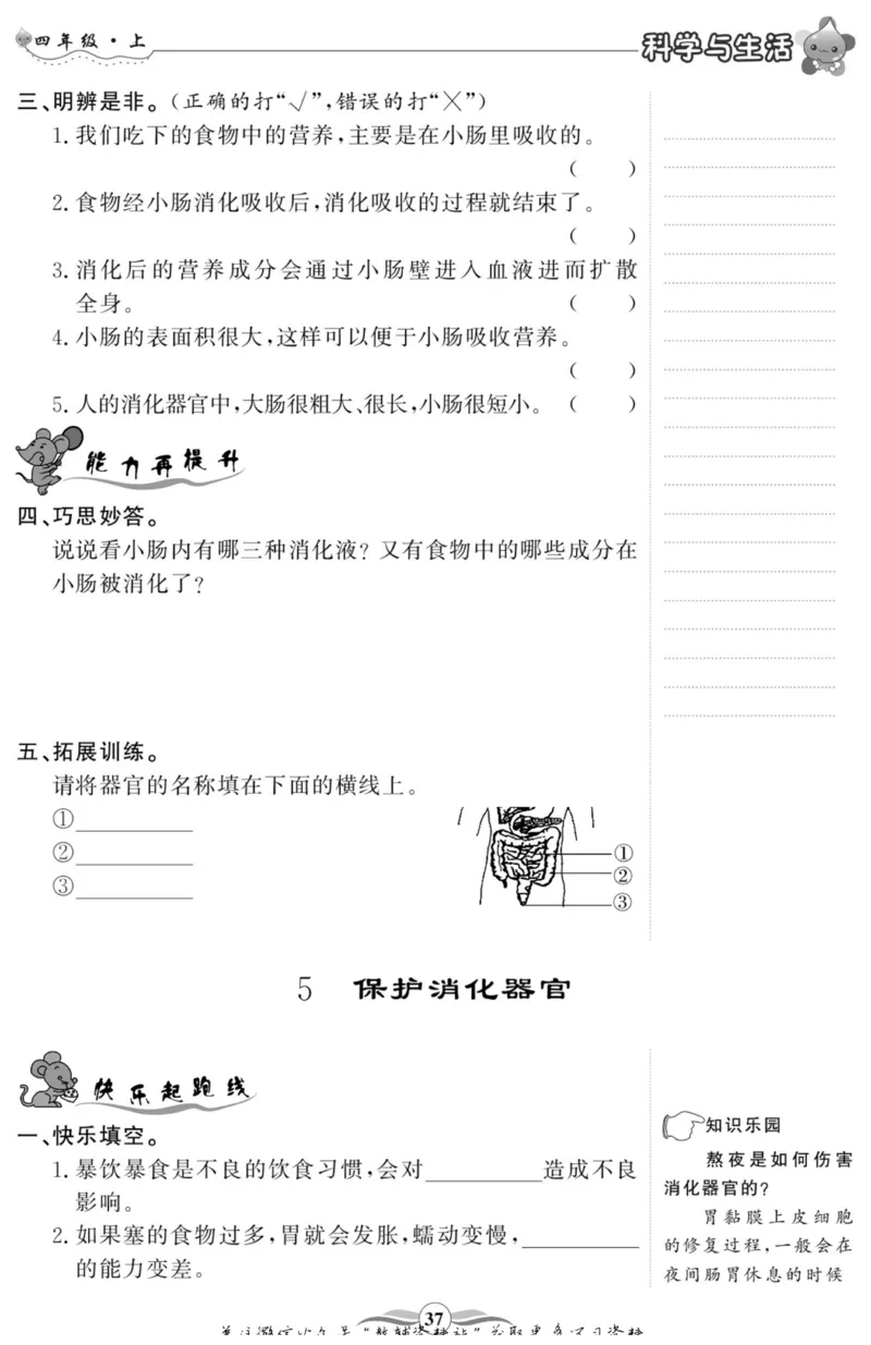 智能训练&middot;科学四年级上册大象版_2024年人教版小学数学一二三四五六年级上册下册期中期末试a0747_小学全科《同步练习+精品试卷》打包下载（1-6年级单元月考期中期末试卷）_小学科学