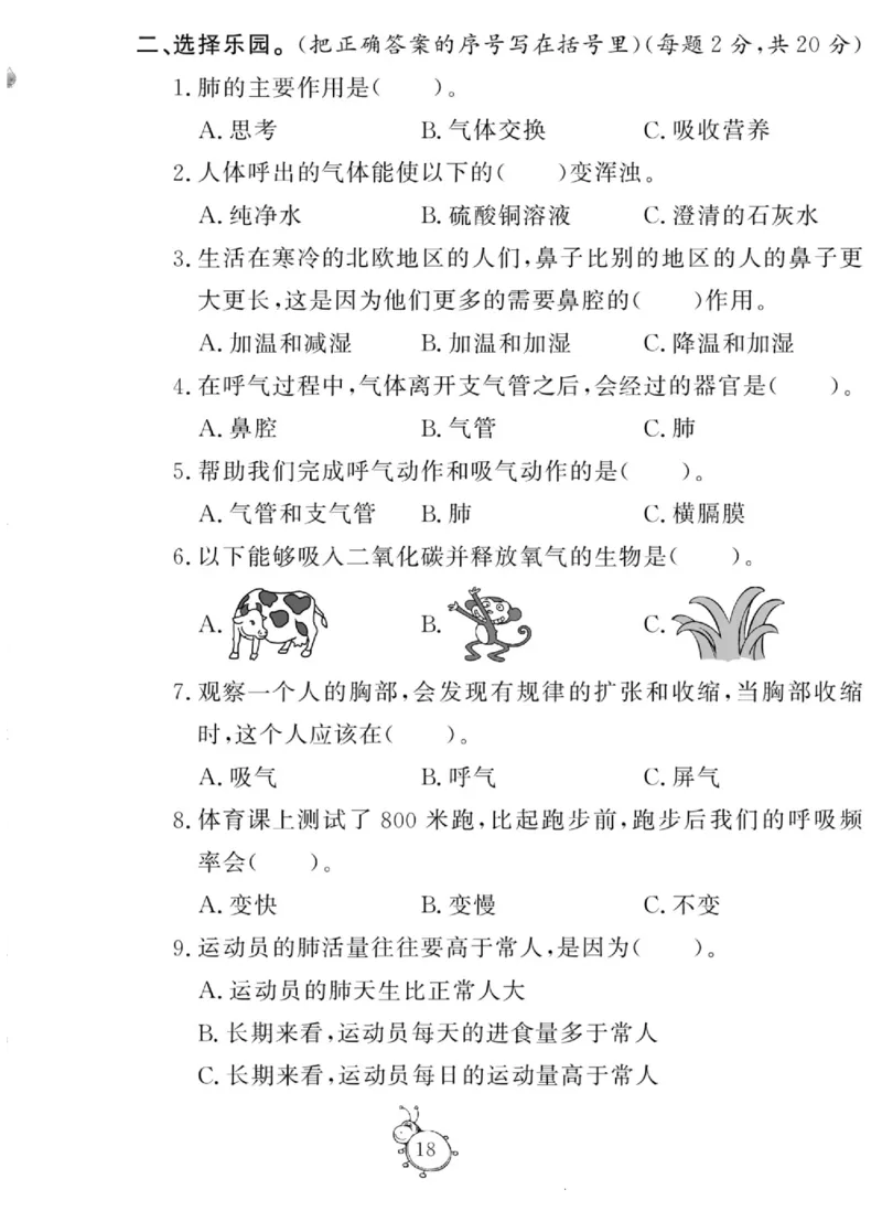 智能训练&middot;科学四年级上册大象版_2024年人教版小学数学一二三四五六年级上册下册期中期末试a0747_小学全科《同步练习+精品试卷》打包下载（1-6年级单元月考期中期末试卷）_小学科学