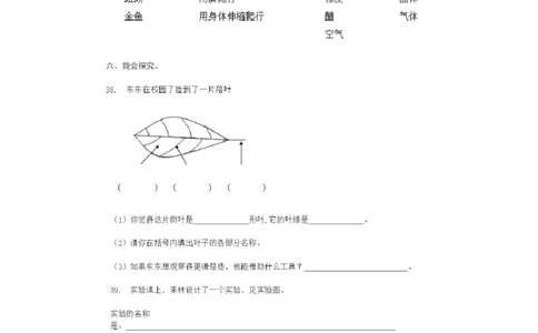 小学三年级科学上学期期末考试试卷及答案_2024年人教版小学数学一二三四五六年级上册下册期中期末试a0747_小学全科《同步练习+精品试卷》打包下载（1-6年级单元月考期中期末试卷）