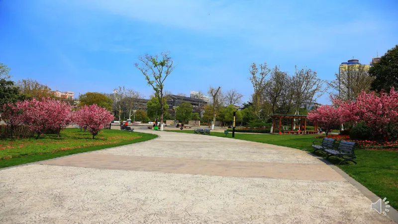 12清新空气是个宝_课件_二年级上下册资料_小学二年级学习资料-25年更新版_2-08、小学二年级道德与法治下册_课时练与课件