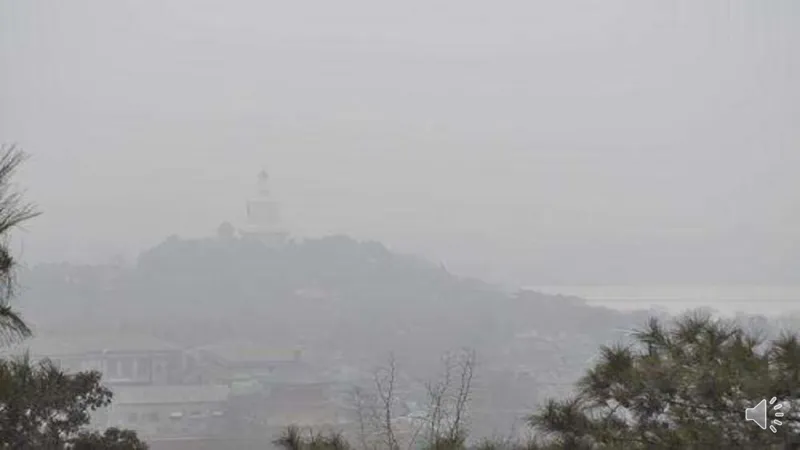 12清新空气是个宝_课件_二年级上下册资料_小学二年级学习资料-25年更新版_2-08、小学二年级道德与法治下册_课时练与课件