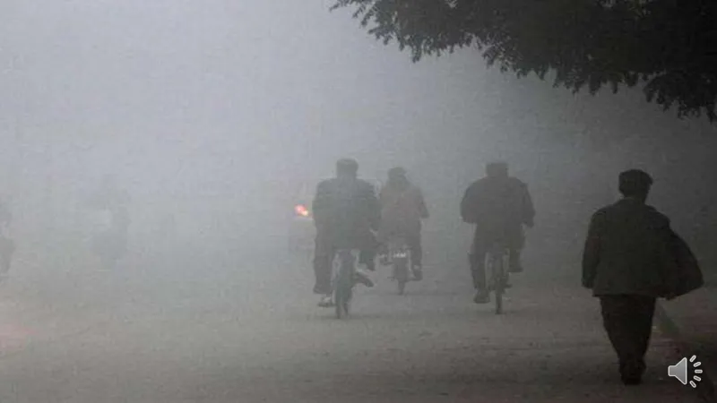 12清新空气是个宝_课件_二年级上下册资料_小学二年级学习资料-25年更新版_2-08、小学二年级道德与法治下册_课时练与课件