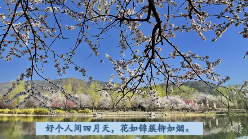 12清新空气是个宝_课件_二年级上下册资料_小学二年级学习资料-25年更新版_2-08、小学二年级道德与法治下册_课时练与课件