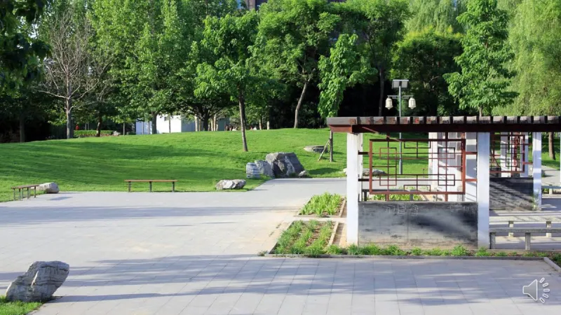 12清新空气是个宝_课件_二年级上下册资料_小学二年级学习资料-25年更新版_2-08、小学二年级道德与法治下册_课时练与课件