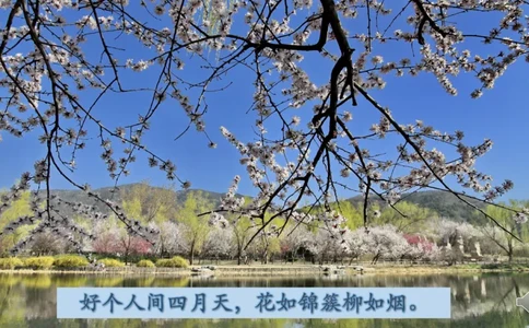 12清新空气是个宝_课件_二年级上下册资料_小学二年级学习资料-25年更新版_2-08、小学二年级道德与法治下册_课时练与课件