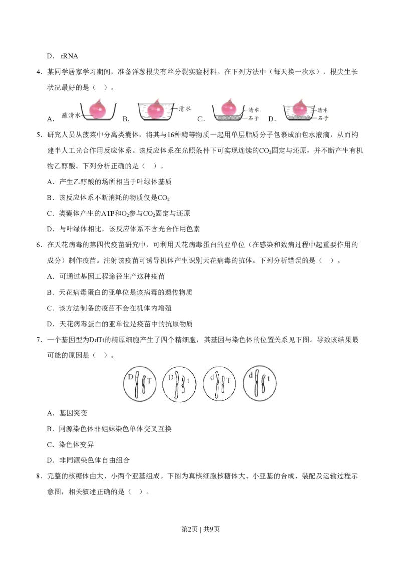 2020年高考生物试卷（天津）（空白卷）_生物历年高考真题_新&middot;PDF版2008-2025&middot;高考生物真题_生物（按试卷类型分类）2008-2025_自主命题卷&middot;生物（2008-2025）_天津自主命题&middot;生物（2008-2024）