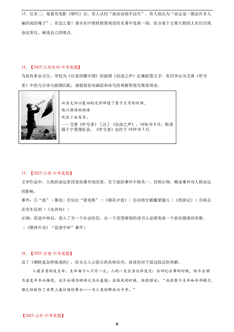 专题09名著导读(原卷版)_2023-2025《3年中考1年模拟真题分类汇编》语文