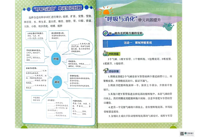 暑假轻松升级科学4升5_2024年人教版小学数学一二三四五六年级上册下册期中期末试a0747_小学全科《同步练习+精品试卷》打包下载（1-6年级单元月考期中期末试卷）_小学科学