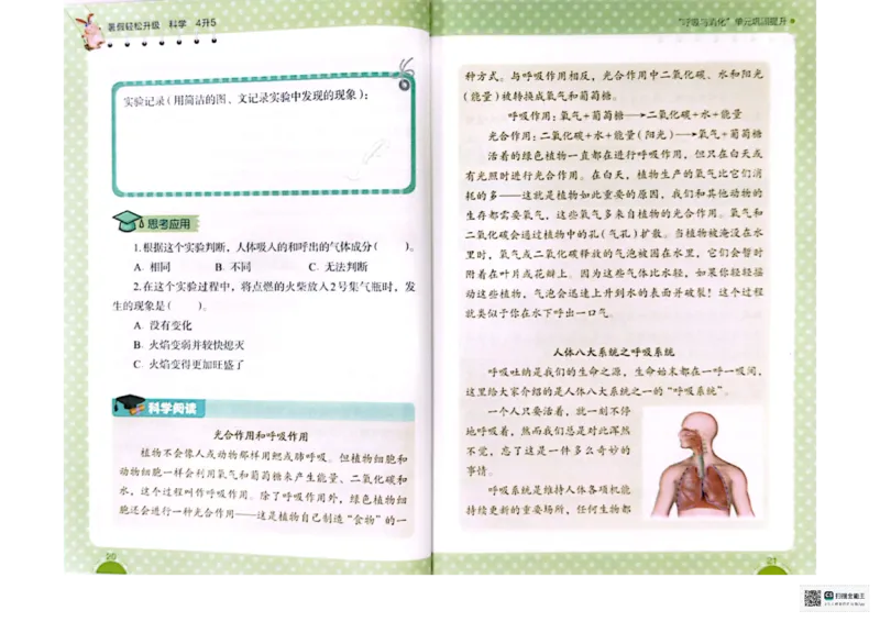 暑假轻松升级科学4升5_2024年人教版小学数学一二三四五六年级上册下册期中期末试a0747_小学全科《同步练习+精品试卷》打包下载（1-6年级单元月考期中期末试卷）_小学科学