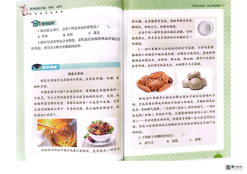 暑假轻松升级科学4升5_2024年人教版小学数学一二三四五六年级上册下册期中期末试a0747_小学全科《同步练习+精品试卷》打包下载（1-6年级单元月考期中期末试卷）_小学科学