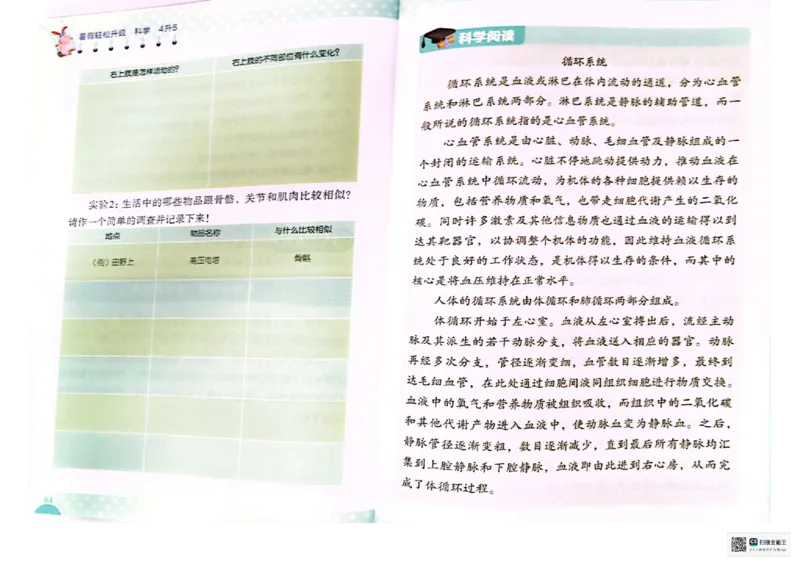 暑假轻松升级科学4升5_2024年人教版小学数学一二三四五六年级上册下册期中期末试a0747_小学全科《同步练习+精品试卷》打包下载（1-6年级单元月考期中期末试卷）_小学科学