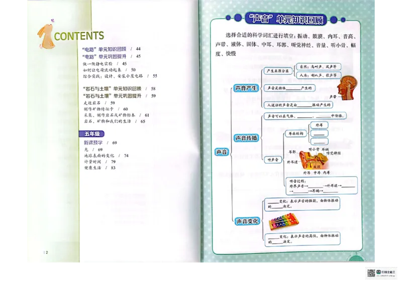 暑假轻松升级科学4升5_2024年人教版小学数学一二三四五六年级上册下册期中期末试a0747_小学全科《同步练习+精品试卷》打包下载（1-6年级单元月考期中期末试卷）_小学科学